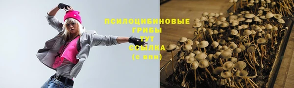 сатива Белокуриха
