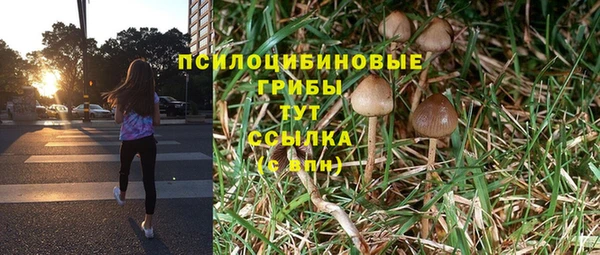 сатива Белокуриха